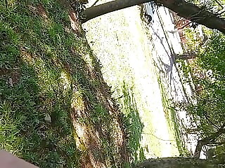 sunny day oral sex with an..