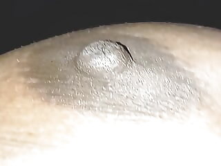 Debuting at Castelvania Porn..