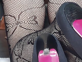 Fat female dog gets fucked..