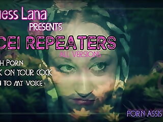CEI Repeaters All Versions..