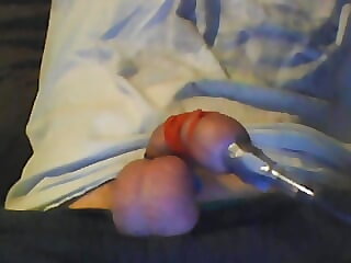 Tail and balls likely with..